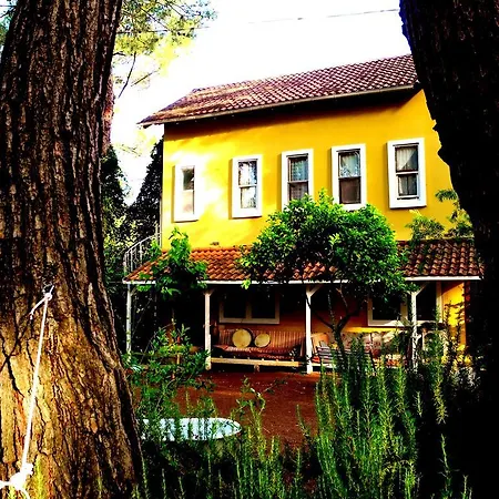 Pensionat Daphne House 2*