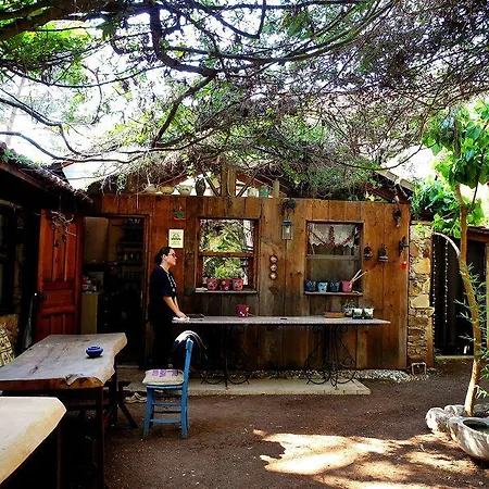 Daphne House Olympos