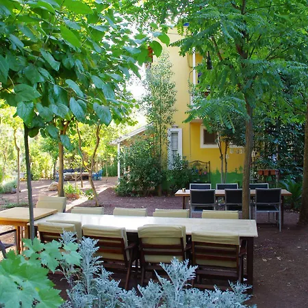 Pensionat Daphne House