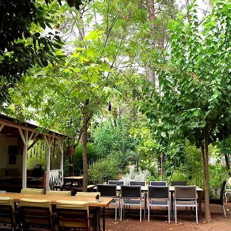 Guest house Daphne House 2*