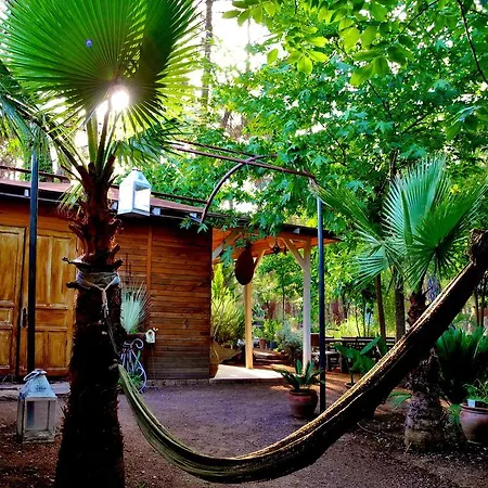 Daphne House Guest house