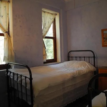 Daphne House Guest house Olympos