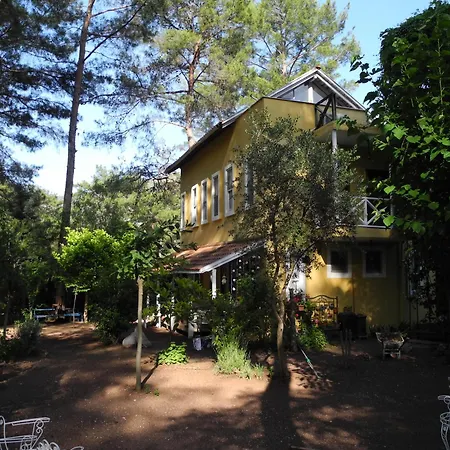 Daphne House Guest house