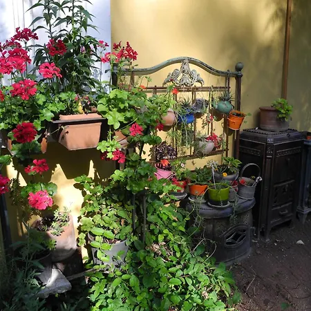 Daphne House Guest house 2*