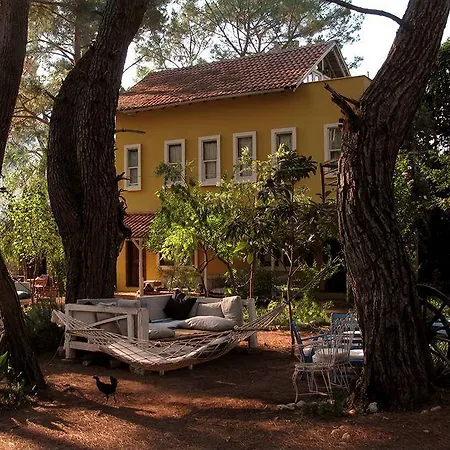 Daphne House Guest house 2*