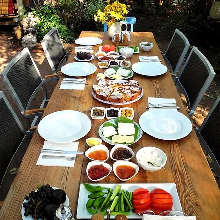 Daphne House بيت ضيافة