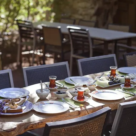 بيت ضيافة Daphne House 2*