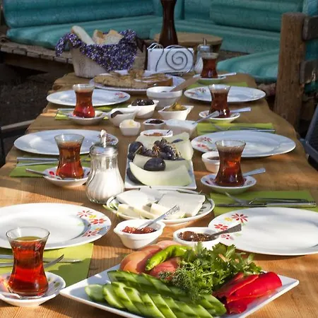 Daphne House بيت ضيافة